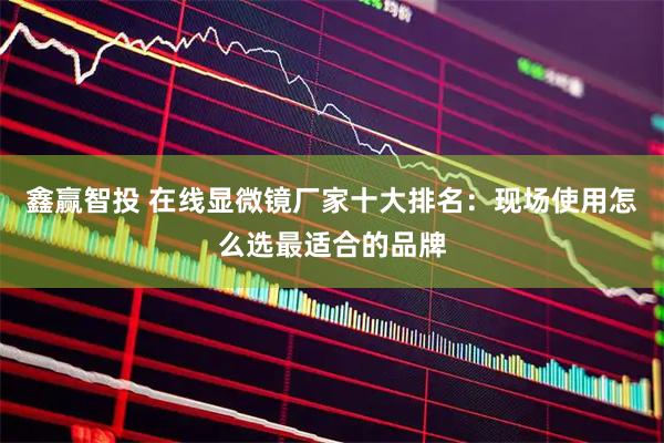 鑫赢智投 在线显微镜厂家十大排名：现场使用怎么选最适合的品牌
