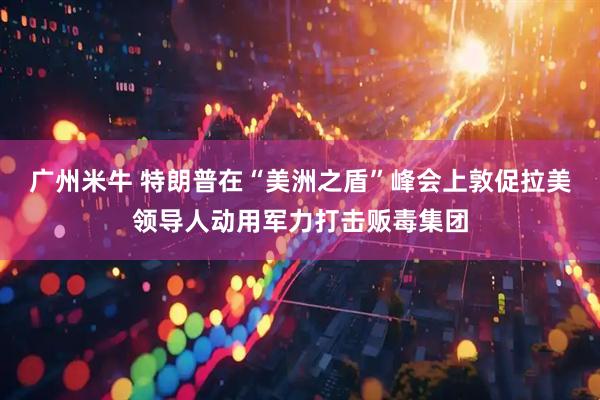 广州米牛 特朗普在“美洲之盾”峰会上敦促拉美领导人动用军力打击贩毒集团