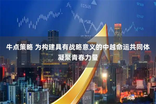 牛点策略 为构建具有战略意义的中越命运共同体凝聚青春力量