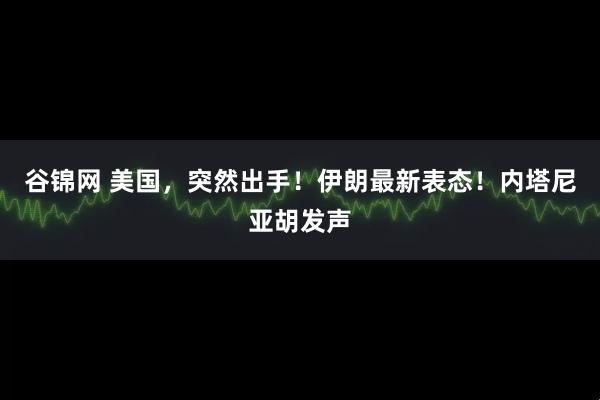 谷锦网 美国,突然出手!伊朗最新表态!内塔尼亚胡发声