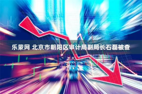 乐蒙网 北京市朝阳区审计局副局长石磊被查