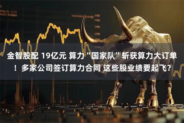 金智股配 19亿元 算力“国家队”斩获算力大订单！多家公司签订算力合同 这些股业绩要起飞？