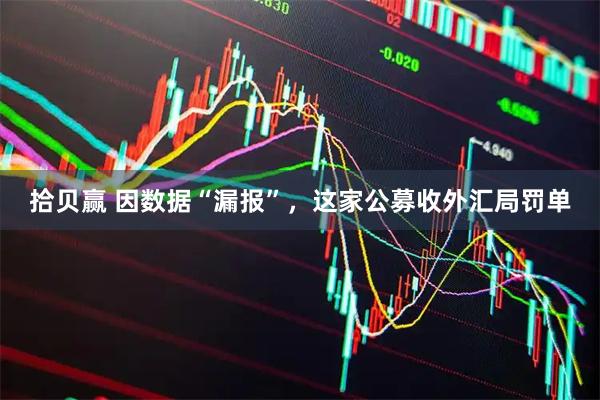 拾贝赢 因数据“漏报”，这家公募收外汇局罚单