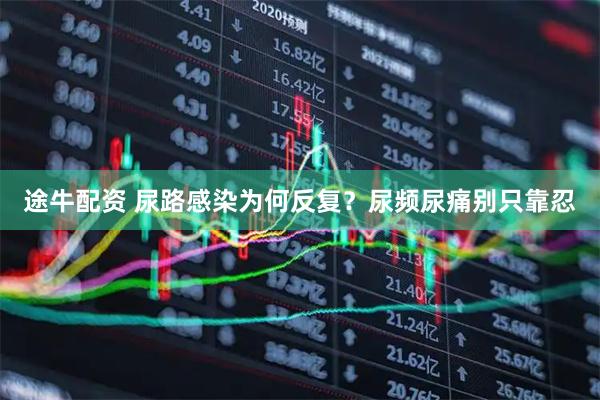 途牛配资 尿路感染为何反复?尿频尿痛别只靠忍