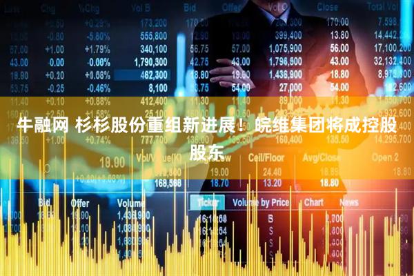 牛融网 杉杉股份重组新进展！皖维集团将成控股股东