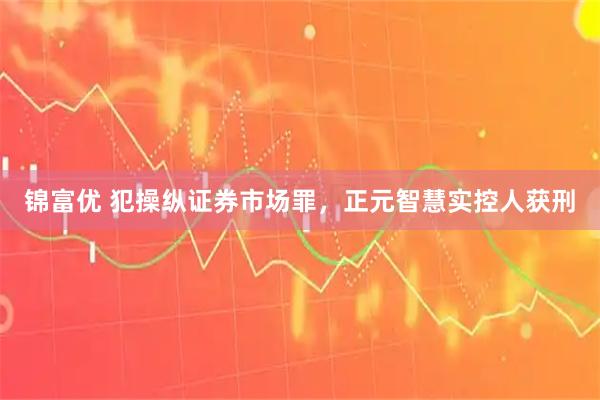 锦富优 犯操纵证券市场罪，正元智慧实控人获刑