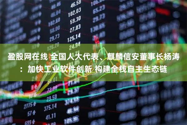 盈股网在线 全国人大代表、麒麟信安董事长杨涛：加快工业软件创新 构建全栈自主生态链