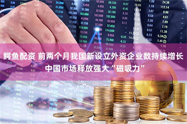 鳄鱼配资 前两个月我国新设立外资企业数持续增长 中国市场释放强大“磁吸力”