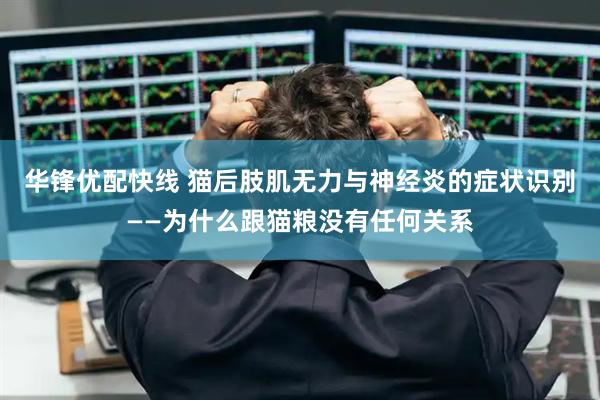 华锋优配快线 猫后肢肌无力与神经炎的症状识别——为什么跟猫粮没有任何关系