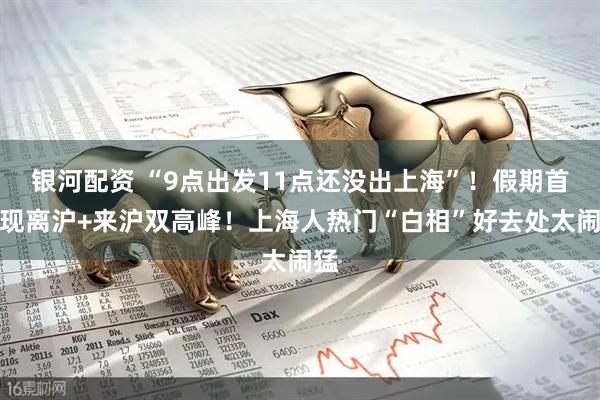 银河配资 “9点出发11点还没出上海”！假期首日现离沪+来沪双高峰！上海人热门“白相”好去处太闹猛