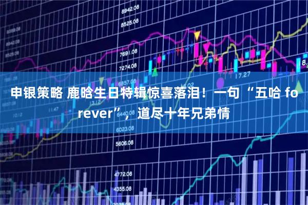 申银策略 鹿晗生日特辑惊喜落泪！一句 “五哈 forever”，道尽十年兄弟情