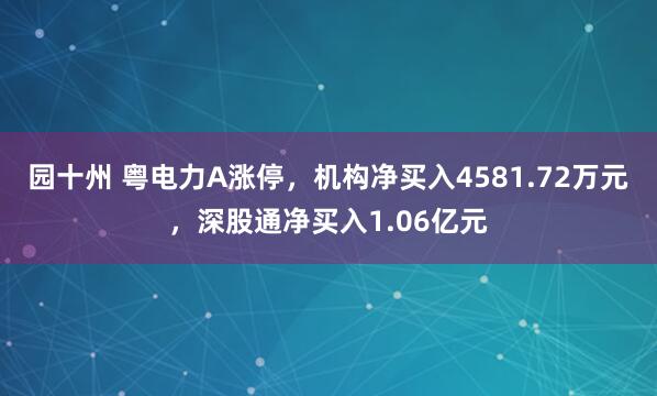 园十州 粤电力A涨停，机构净买入4581.72万元，深股通净买入1.06亿元