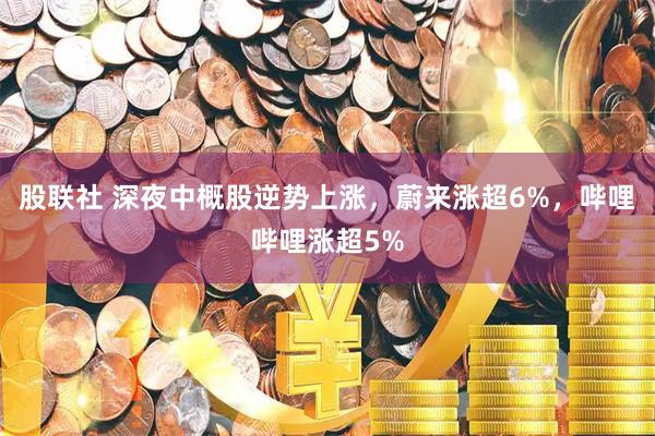股联社 深夜中概股逆势上涨，蔚来涨超6%，哔哩哔哩涨超5%