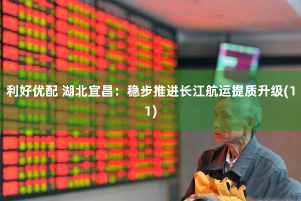 利好优配 湖北宜昌：稳步推进长江航运提质升级(11)
