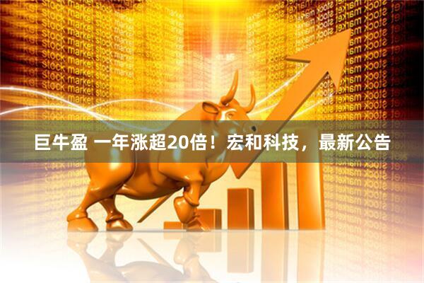 巨牛盈 一年涨超20倍！宏和科技，最新公告