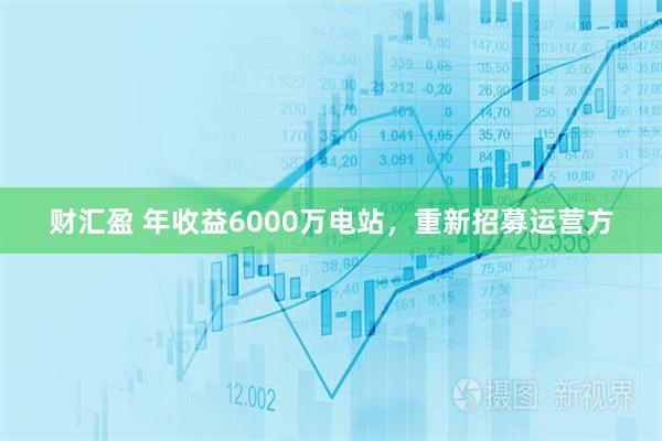 财汇盈 年收益6000万电站，重新招募运营方