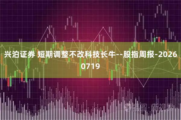 兴泊证券 短期调整不改科技长牛--股指周报-20260719
